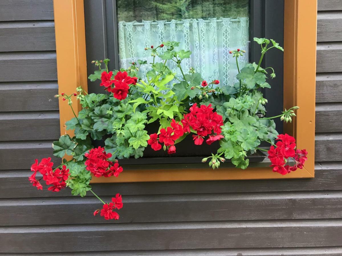 Ferienhaus Bergfee Klippitztorl Exteriör bild