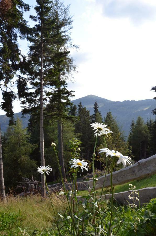 Ferienhaus Bergfee Klippitztorl Exteriör bild