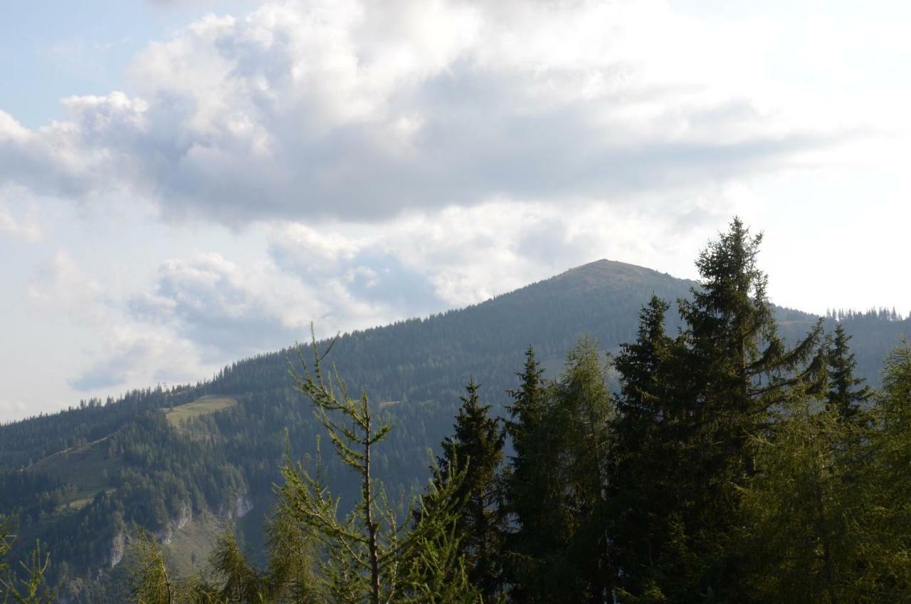 Ferienhaus Bergfee Klippitztorl Exteriör bild